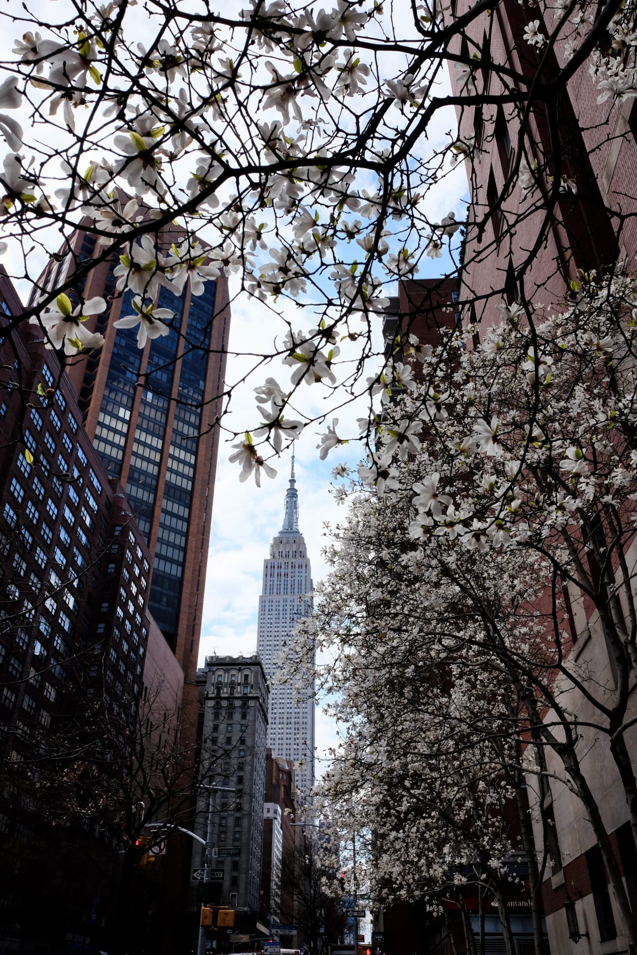 Murray Hill 